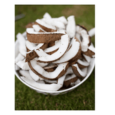 Ayers Coconut Slices